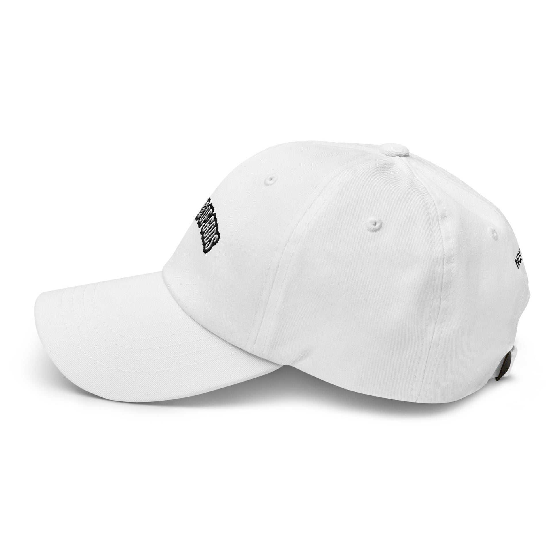 ISLAND OF GODS DAD HAT | VOL II - Not Today Brand Inc.