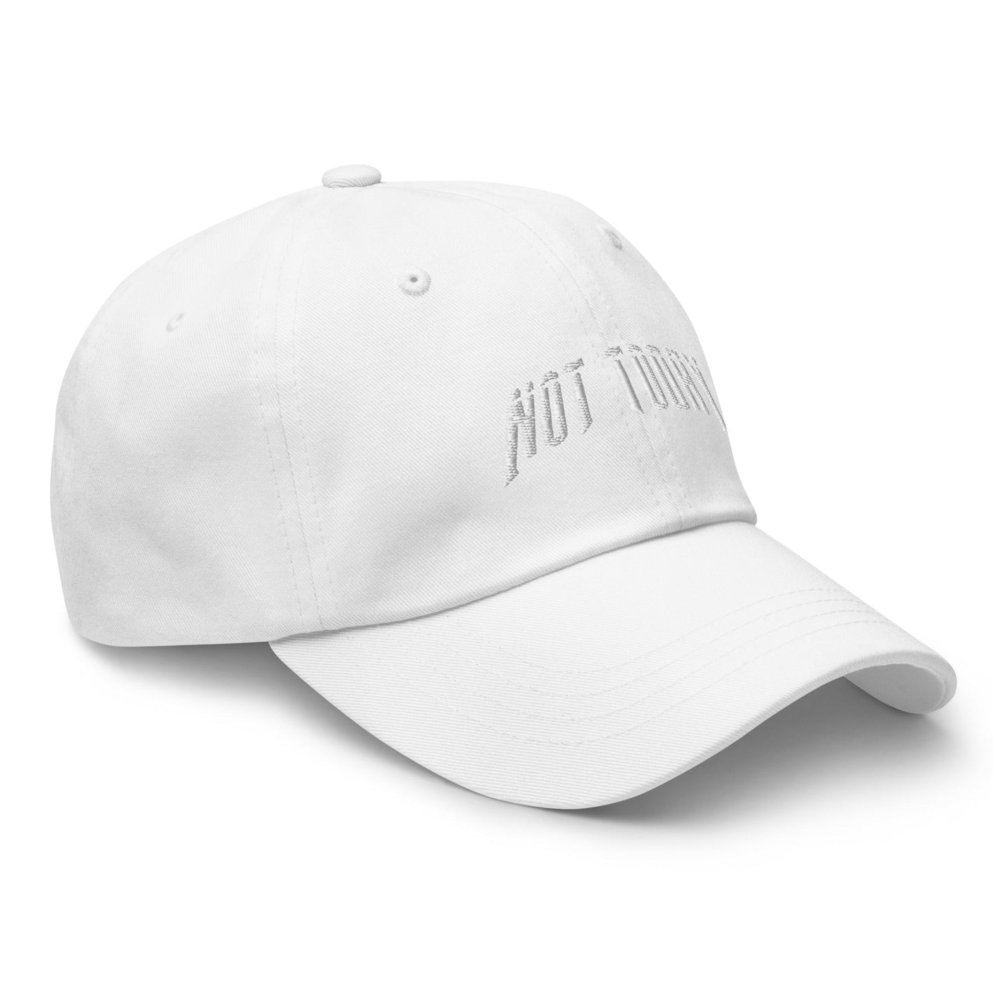 Not Today / LA Ladies Hat - Not Today Brand Inc.